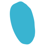 program-12 program-12